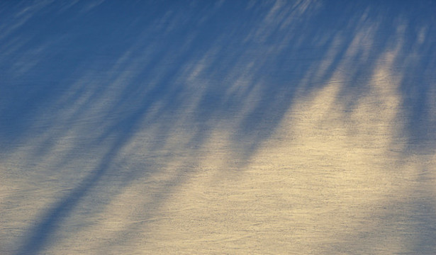 雪地