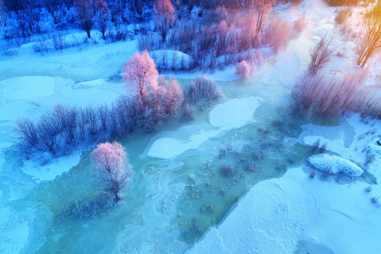 雪域冰封河流樹林朝陽