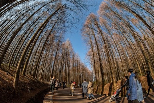 冬日秋景醉客人
