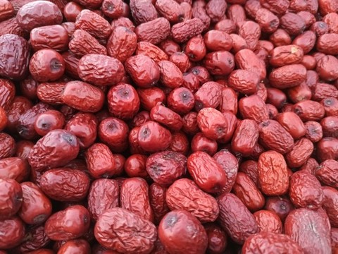 紅棗