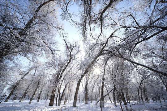 雪景