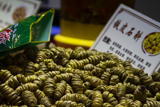 鐵皮石斛