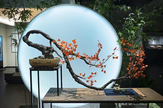 新中式室內(nèi)紅楓盆景裝飾