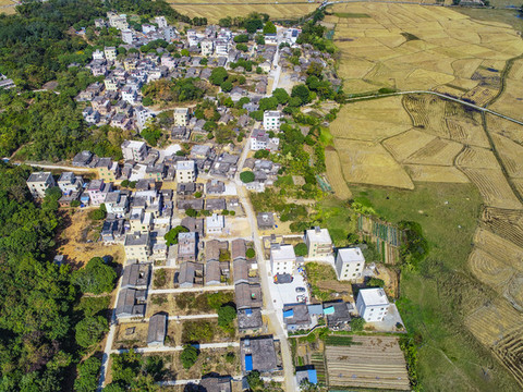 鄉(xiāng)村風景
