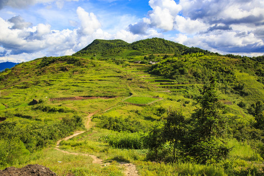 新昌小將鎮(zhèn)