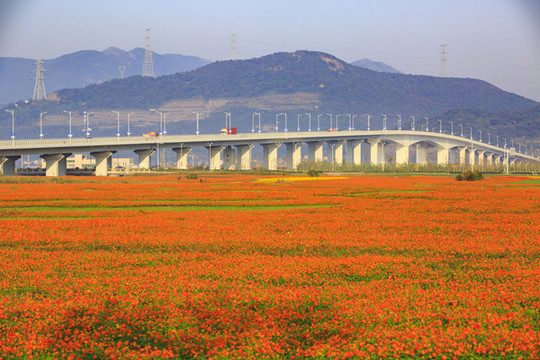 寧波北侖梅山保稅區(qū)梅山大橋美景