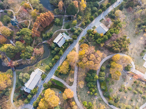 武漢月湖公園深秋航拍風(fēng)光
