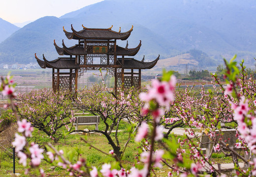 胡陳桃花園