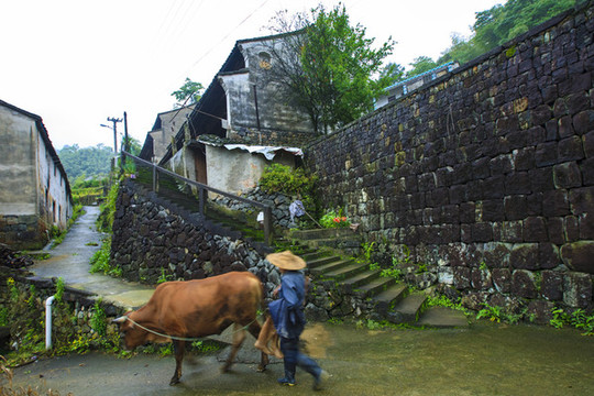 黃壇鎮(zhèn)風(fēng)景