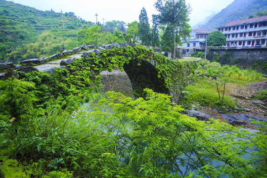 黃壇鎮(zhèn)風(fēng)景