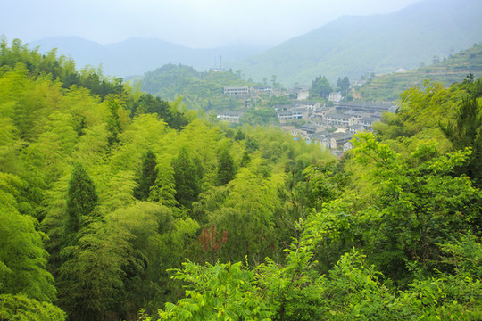 雙峰國(guó)家森林公園
