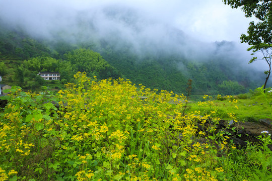 雙峰國(guó)家森林公園