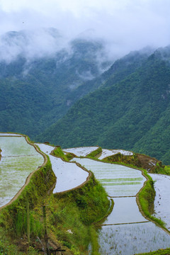 寧波寧?？h黃壇縣雙峰國(guó)家森林公園美景