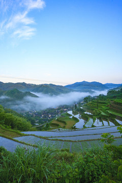 寧波寧?？h黃壇縣雙峰國家森林公園美景