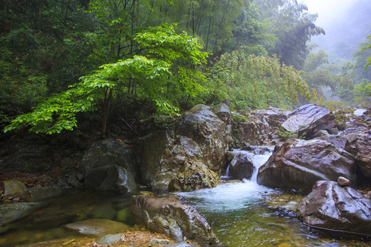 寧波寧海縣黃壇縣雙峰國家森林公園美景