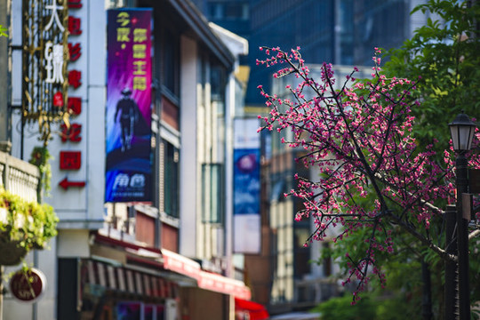 老外灘商業(yè)區(qū)