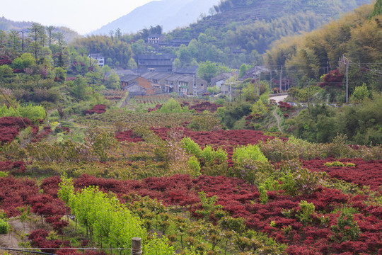 寧波海曙章水鎮(zhèn)杖錫風(fēng)景區(qū)風(fēng)光