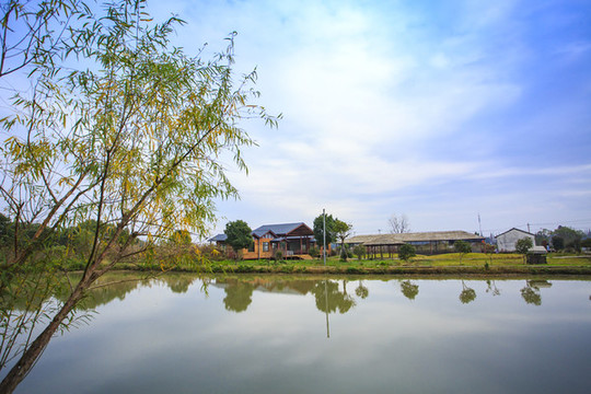 寧波海曙古林鎮(zhèn)天勝農(nóng)場風(fēng)光