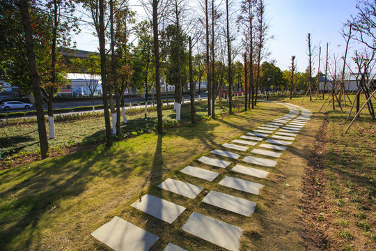 寧波海曙區(qū)古林鎮(zhèn)禮嘉橋公園景色