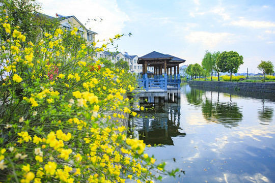 寧波海曙古林鎮(zhèn)綠苑公園風光