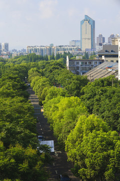 寧波海曙區(qū)鎮(zhèn)明路景色