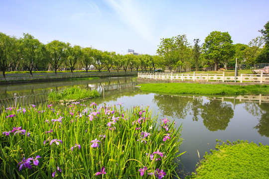 護校河