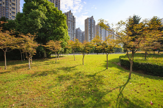 綠化公園