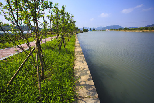 東新河