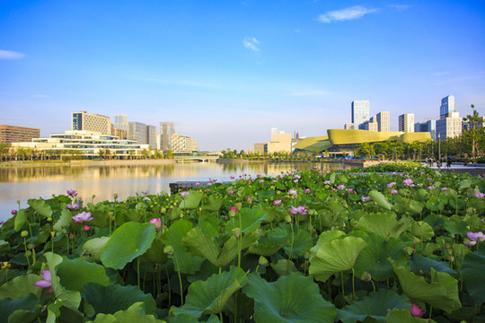 鄞州區(qū)東部新城