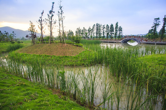 濕地公園
