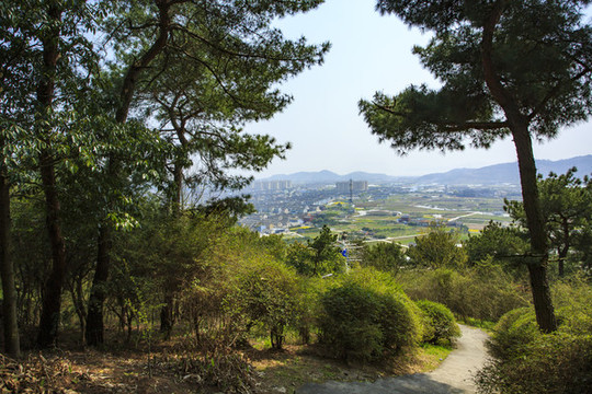 寧波鄞州咸祥鎮(zhèn)金山公園景色
