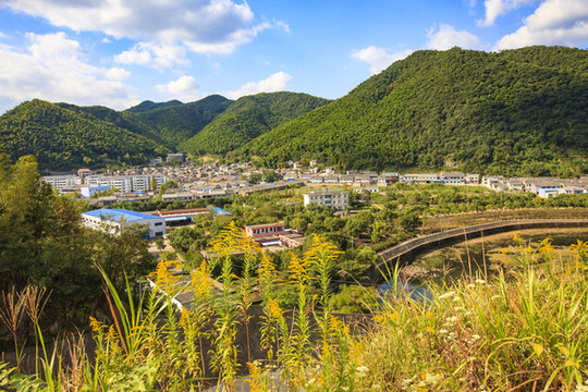 塘溪鎮(zhèn)全景