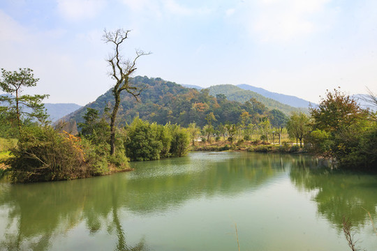 公園