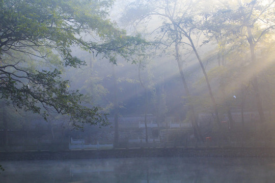 天童寺放生池