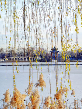 頤和園
