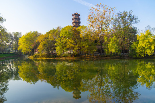 武漢解放公園深秋風(fēng)光
