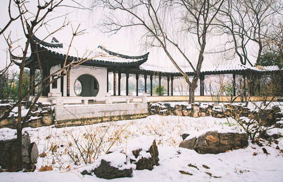 公園園林景觀雪景