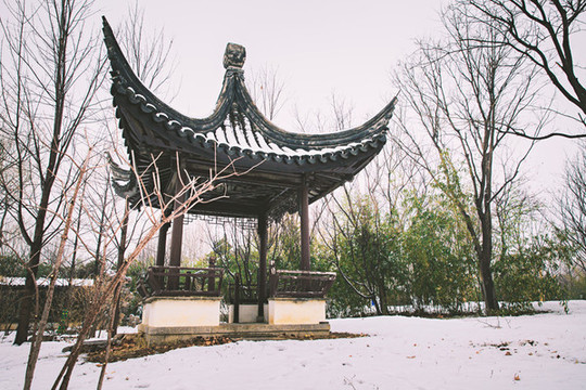 公園園林景觀雪景