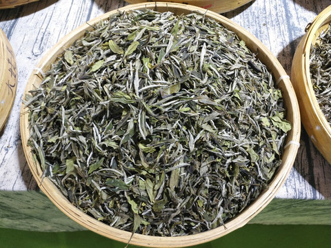 干茶素材