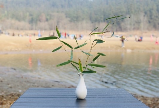 戶外露營時花瓶里的竹子