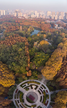武漢解放公園深秋航拍風(fēng)光