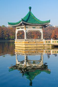 武漢東湖風(fēng)景區(qū)深秋風(fēng)光