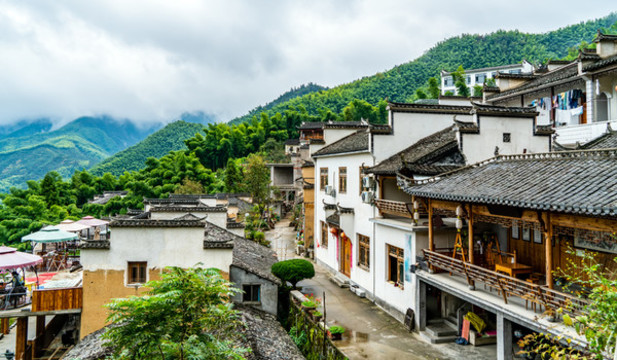 木坑竹海