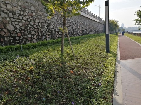 綠道
