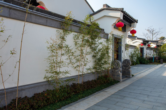 院墻綠化