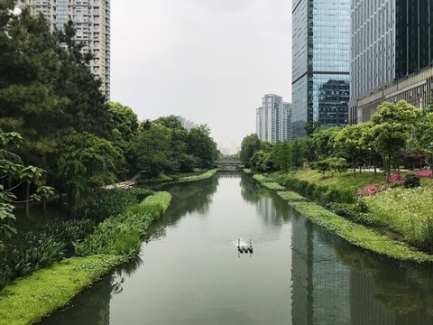市區(qū)河道綠化
