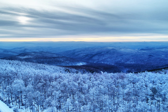 雪域山林霧凇