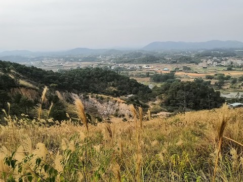 廣西欽州市小董鎮(zhèn)大叢嶺山頂