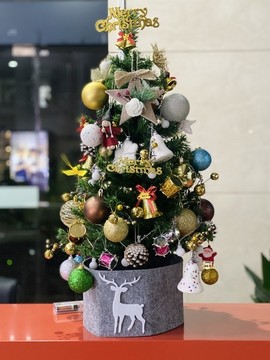 小型圣誕樹