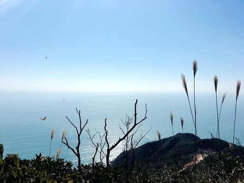 山頂俯瞰大海